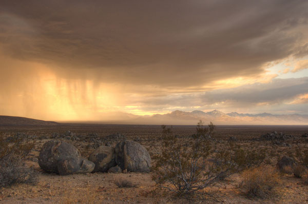 desert-rain